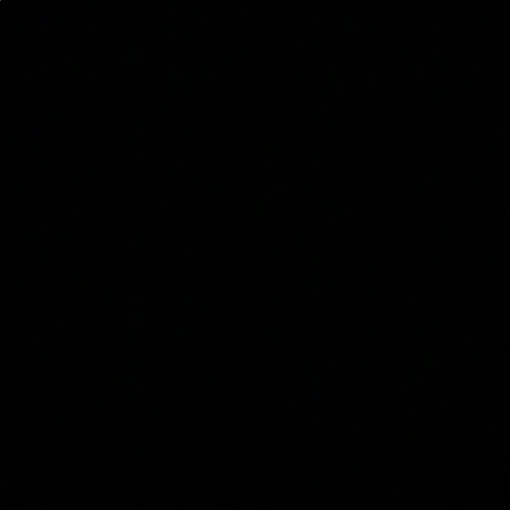 Meet your Posher, Maddox